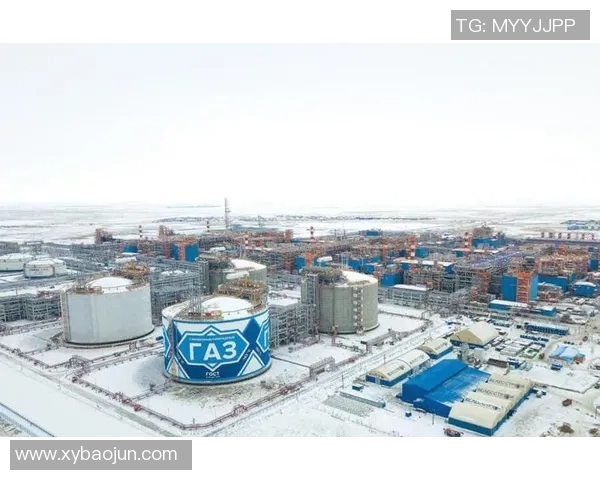 亚马尔地区的资源开发与国际合作前景分析及其对全球能源市场的影响