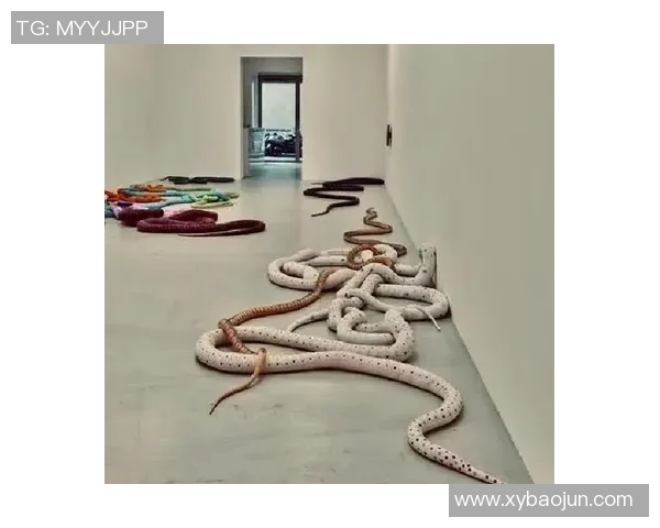 加莱诺的艺术世界探索：从传统到现代的跨越与融合之旅